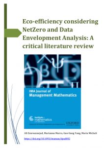 Eco-Efficiency Considering NetZero And Data Envelopment Analysis: A Critical Literature Review